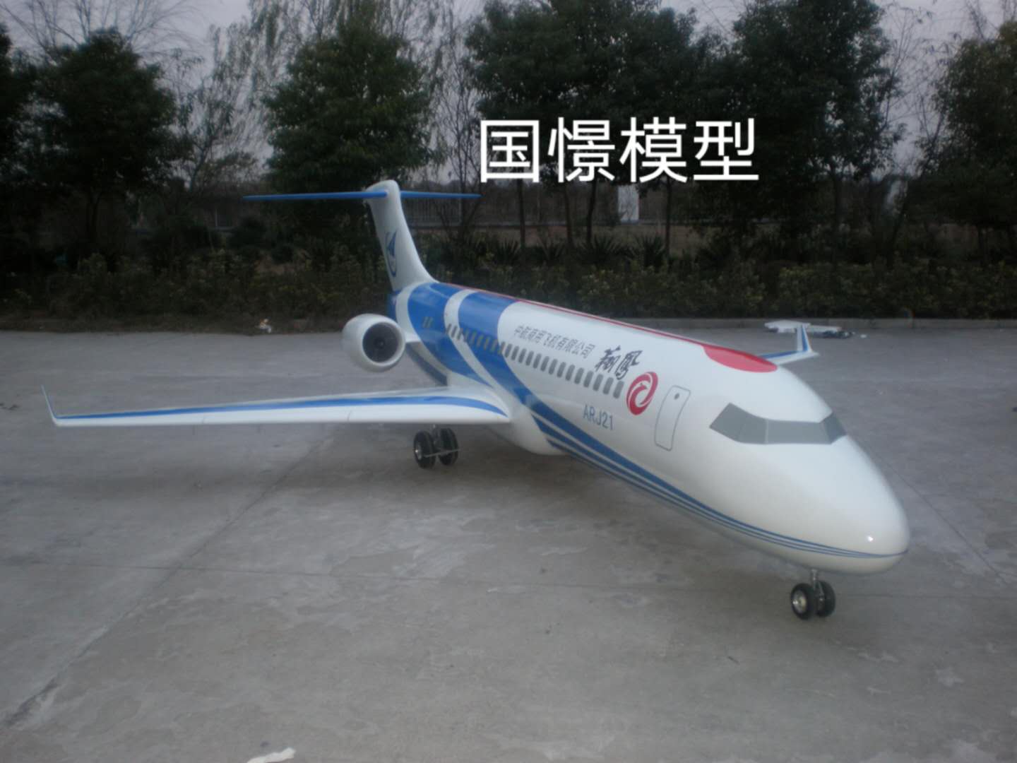 崇明县飞机模型