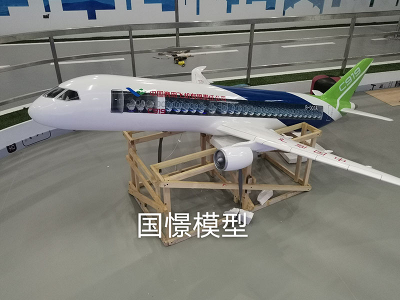 崇明县飞机模型